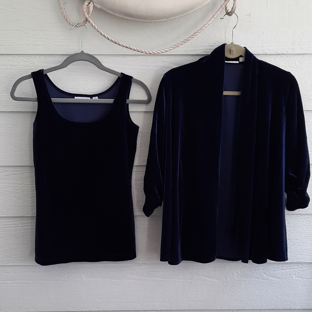 Susan Graver Blue velvet twin set